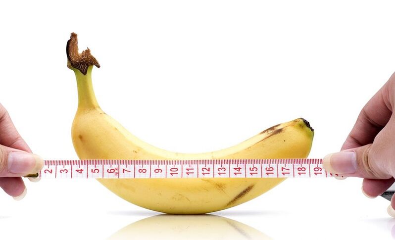 The impact of abstinence on the length of penis